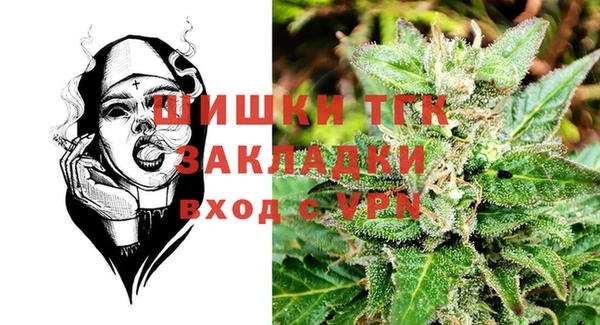 крисы Алексин