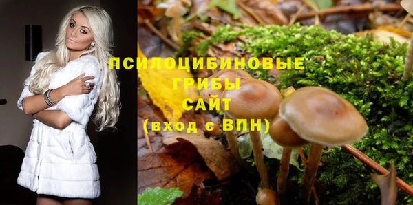 дурь Алзамай