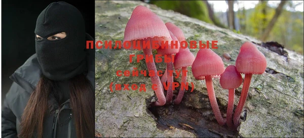 каннабис Алексеевка