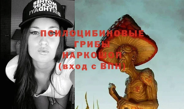 дурь Алзамай