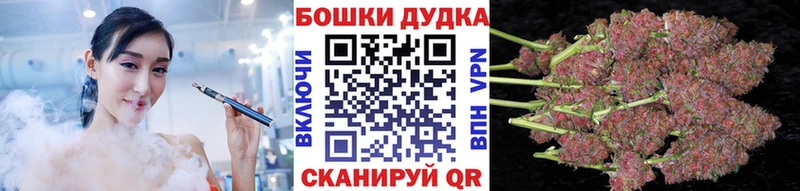 Канабис ГИДРОПОН  Кызыл 
